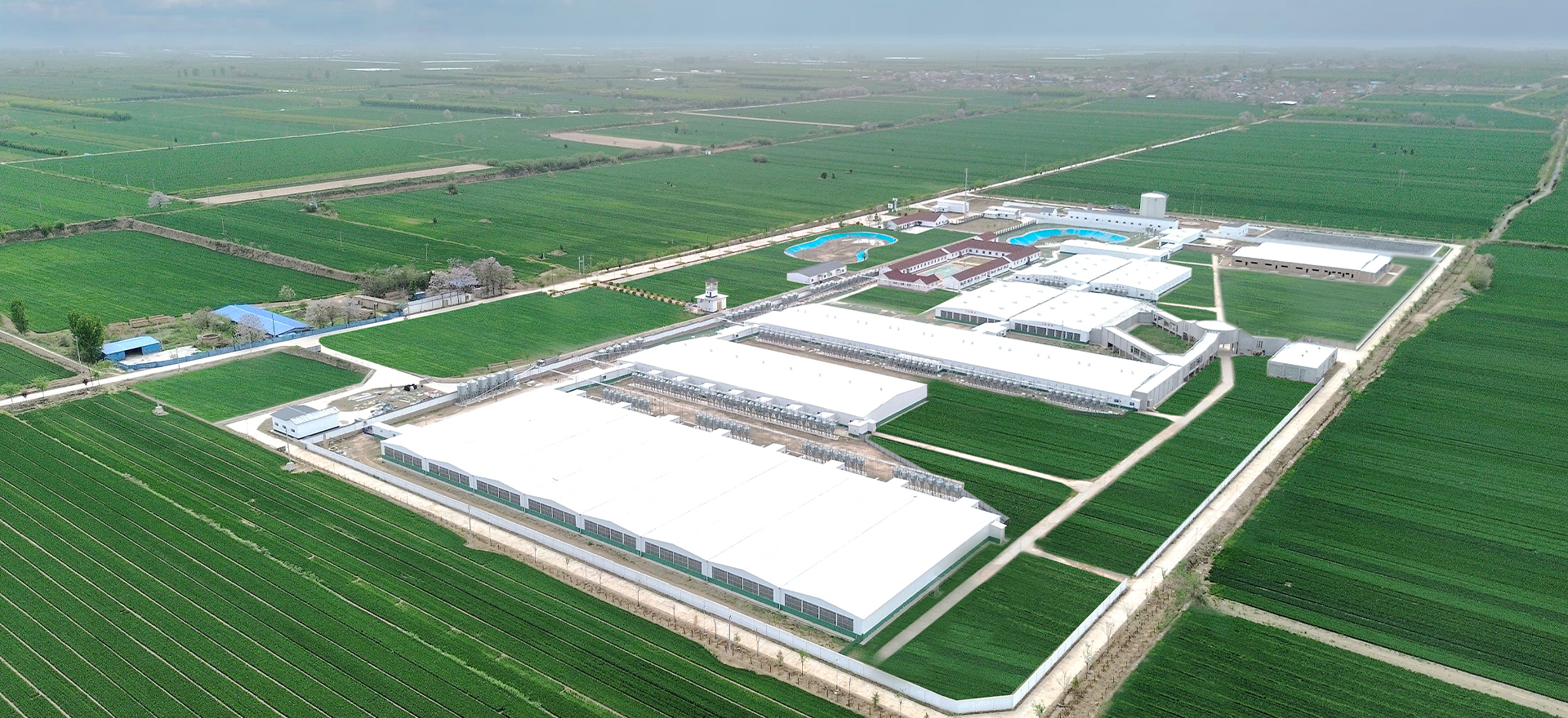 ����������������԰